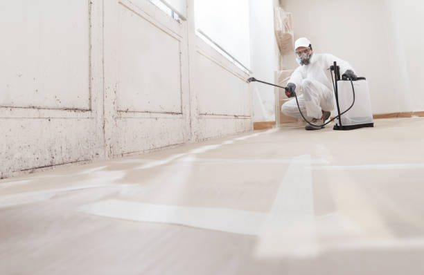 24/7 Emergency Mold Removal experts in Chandler, TX